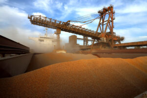 Paraná bate recorde de exportações; agronegócio é responsável por boa parte do resultado