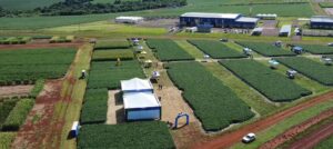Atua Agro oferece conhecimento e oportunidade para mulheres