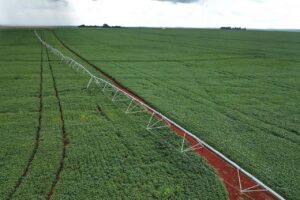 Safra de verão deve alcançar 24,7 milhões de toneladas no Paraná