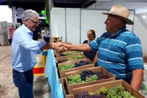 “Buscamos muita fruta fora do PR, e poderíamos estar produzindo aqui”, diz Ortigara sobre apoio para fruticultura