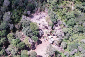 Área rural é alvo de megaoperação contra desmatamento ilegal no PR