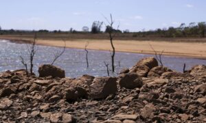 Comitiva federal vai analisar perdas com a seca no Rio Grande do Sul