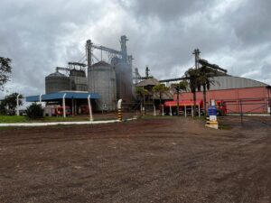 Incêndio destrói toneladas de soja no Oeste do PR