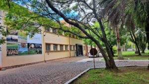 Prevenção à gripe aviária: Rio Grande do Sul cancela torneios e exposições de pássaros