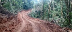 Polícia multa propriedade em R$ 100 mil por destruição de mata nativa