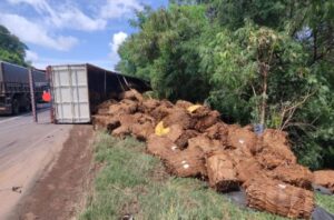 Carga de fumo fica espalhada após tombamento no Paraná