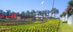 Quer visitar o Show Rural esta semana? Veja se o tempo vai colaborar