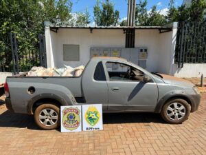 Meia tonelada de agrotóxicos contrabandeados é apreendida no Oeste do PR