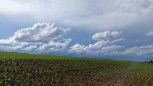 Será que chuva vai embora nesta semana?