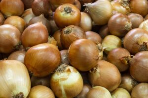 Mudanças climáticas preocupam produtores de cebola