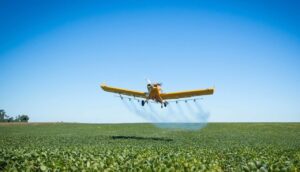 Por conta da chuva, aviação agrícola tem sido alternativa para produtores no combate às pragas