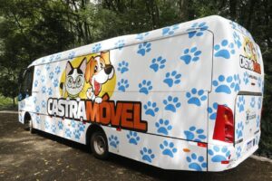 Cães e gatos serão castrados gratuitamente no Oeste do PR