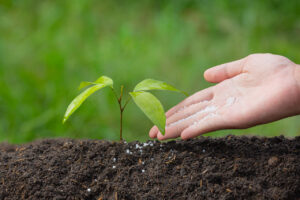 Agricultor vive momento positivo para compra de fertilizantes