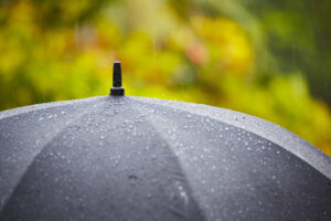 Chuva não deve parar e dá trabalho ao produtor que está colhendo