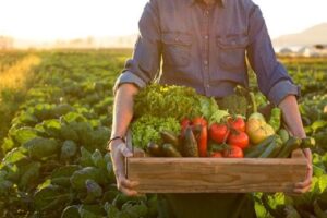 Paraná é referência em agricultura familiar e sustentável