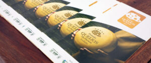 Prêmio Queijos do Paraná tem inscrições adiadas