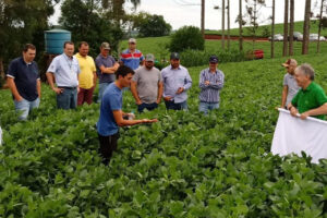 Noroeste do PR participa do 16º Concurso Regional de Qualidade na Colheita de Soja