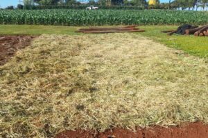 Manejo da umidade do solo em lavouras anuais será debatido no Show Rural