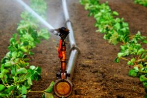 Agricultura sustentável: soluções que permitem maior produtividade
