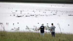 Rio Grande do Sul intensifica ações de vigilância contra gripe aviária no primeiro trimestre