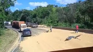Carga de soja fica espalhada na BR-277 após acidente