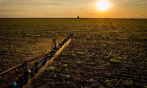 Embrapa promove orientações sobre manejo sustentável dos solos para uso de fertilizantes