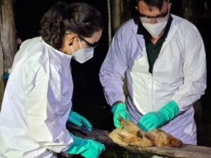 Mais de 23 toneladas de produtos agropecuários de risco sanitário são apreendidos