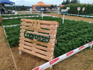 Quase tudo pronto para mais uma edição do dia de Campo Coprossel