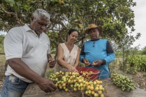 Ações do programa da sociobiodiversidade são destacadas em evento do Euroclima 