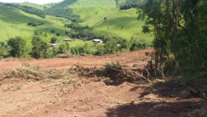 Polícia aplica multa de R$ 231 mil por dano a floresta no Paraná