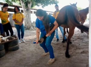 Senar abre inscrições para nova turma de Equinocultura