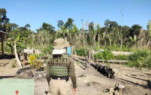 Operação tem como foco combate a crimes contra a fauna