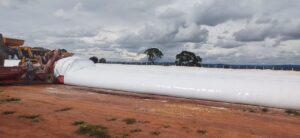 Novidade em silos pode resolver problemas de armazenamento com bom custo-benefício