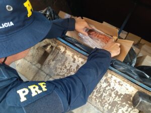 Três toneladas de camarão contrabandeadas são apreendidas no PR