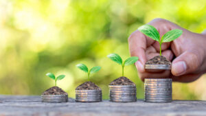 Crédito rural: liberação supera R$ 239 bilhões em oito meses