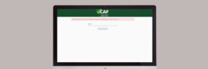 Problemas no sistema digital impedem que produtores se inscrevam no Cadastro da Agricultura Familiar, no Paraná