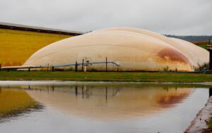 Oeste do Paraná é exemplo nacional em redução da emissão dos gases de efeito estufa