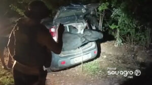 Boi é resgatado de dentro de carro pela Polícia Militar