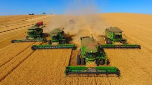 BNDES aumenta investimentos na agropecuária