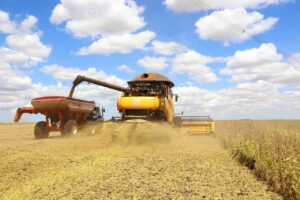 Paraná: Colheita da soja evolui de 17% para 30% na última semana