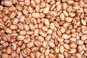 Saiba quais os produtos terão bônus do Programa de Garantia de Preços