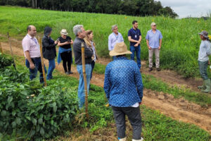 Projeto busca reduzir em até 30% o consumo de água na irrigação das hortaliças