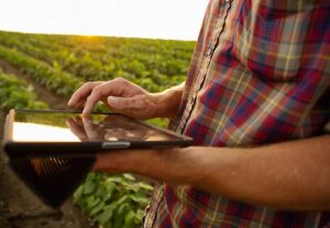 Cerca de 25 milhões de brasileiros do meio rural ainda não possuem acesso à internet
