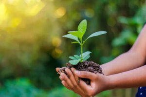 Ministério da Agricultura fortalece a importância de investimento na ciência