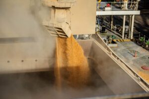 Paraná é destaque no mercado internacional com crescimento na venda de produtos do agro