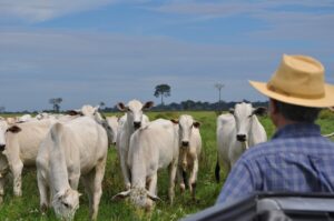 Projeto sobre melhoramento genético irá beneficiar pecuaristas