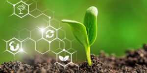 Bioinsumo que combate o estresse hídrico nas plantas será apresentado em feira