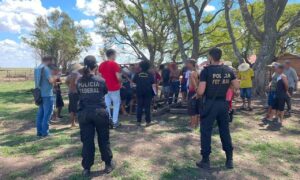 Trabalhadores são libertados de condições semelhantes à escravidão em fazenda de arroz