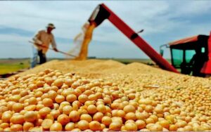 China tem grande interesse em parceria com o Brasil na área da soja