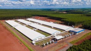 Nova unidade unidade Produtora de Leitões da C.Vale terá produção anual de 160 mil animais